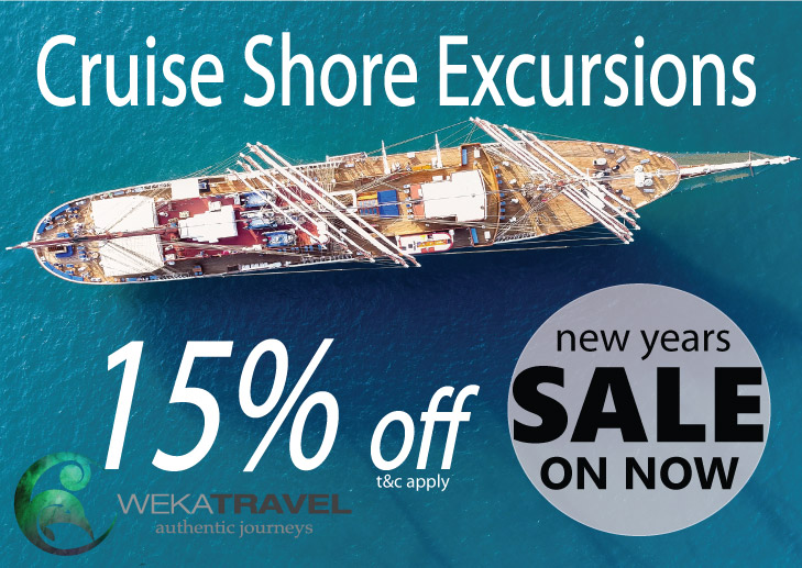 SPECIAL OFFERS – CRUISE SHORE EXCURSIONS