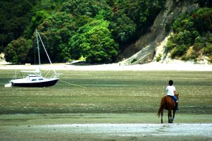 New Zealand beaches, sailing