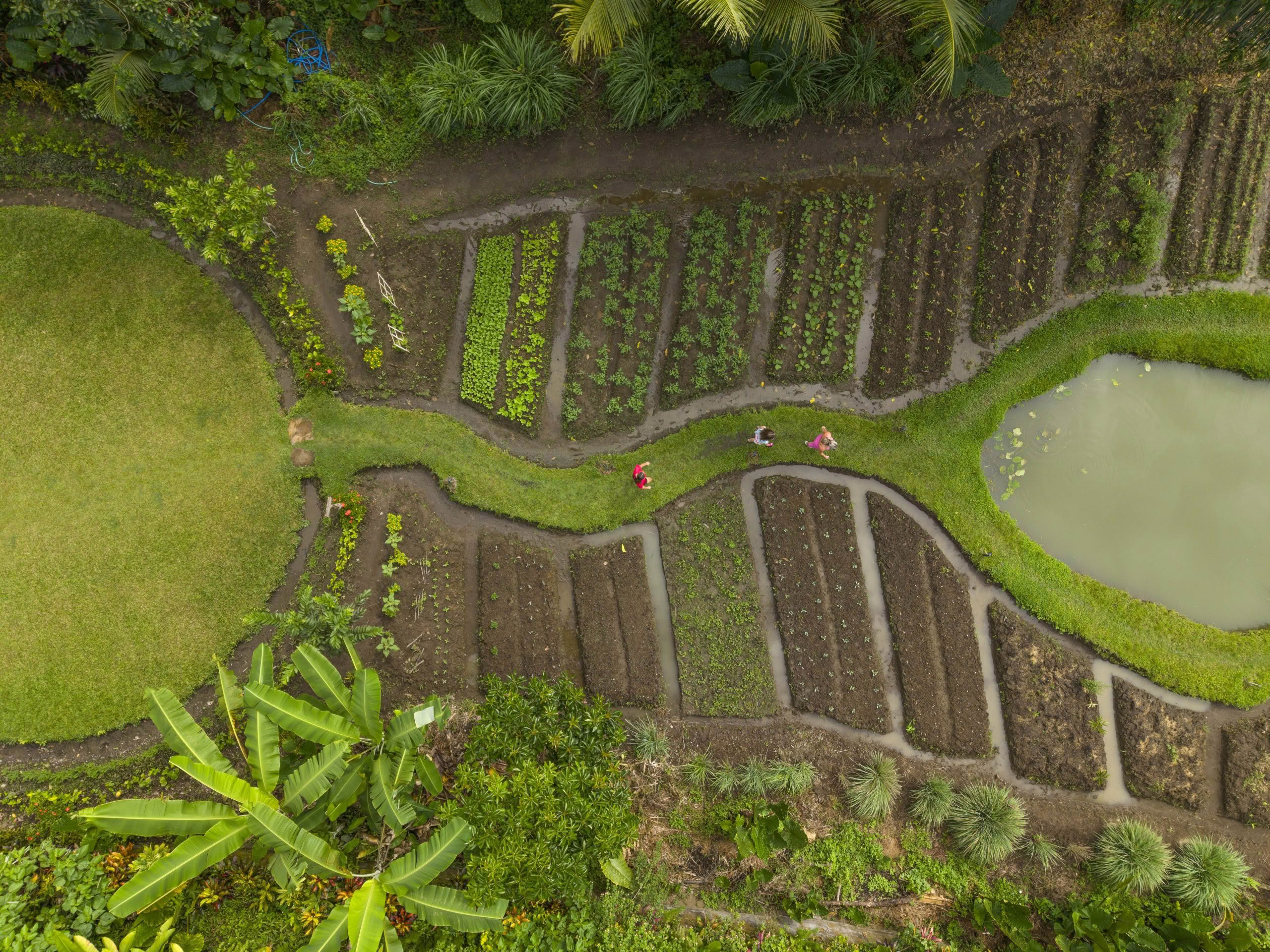 Bali