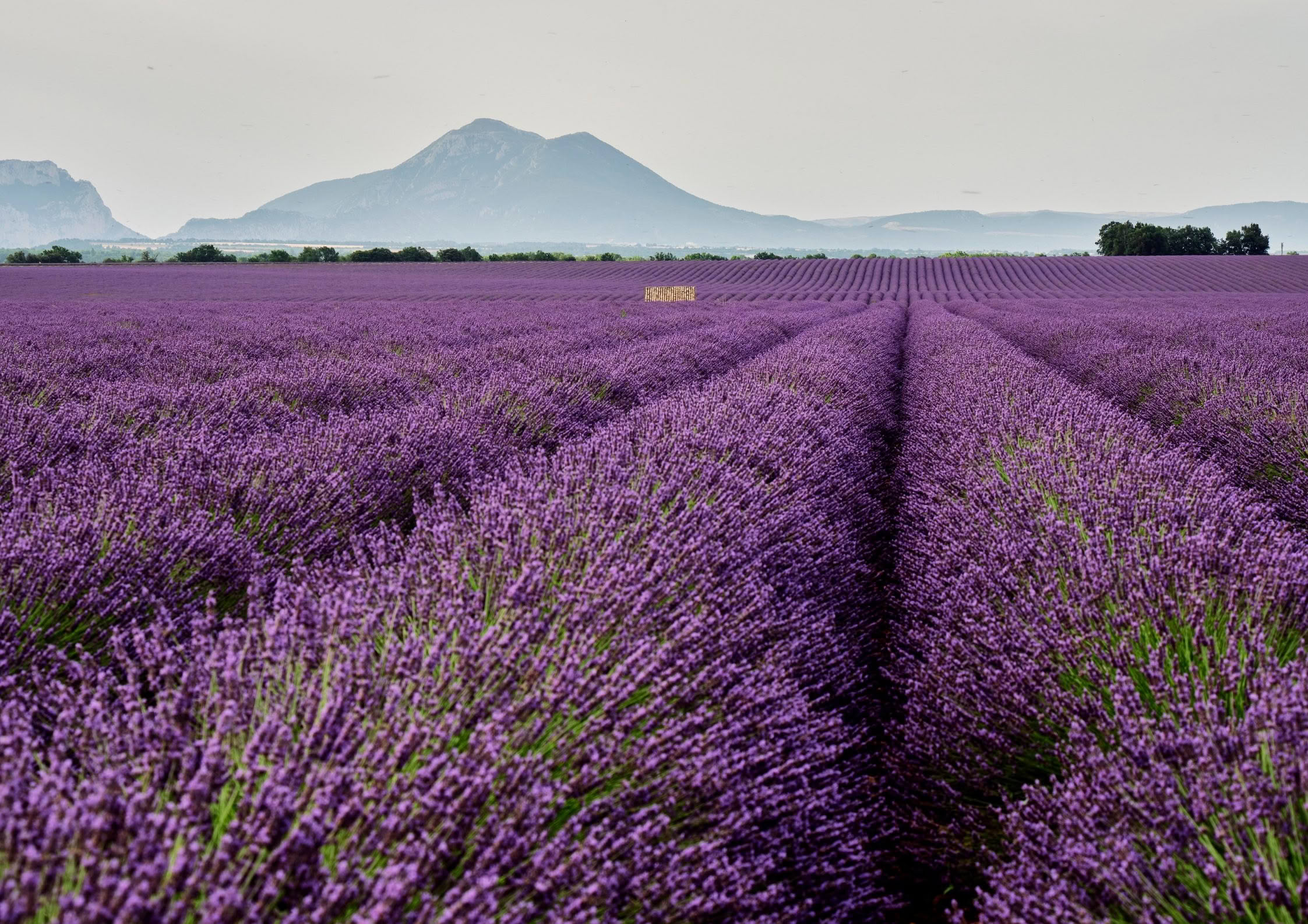 France