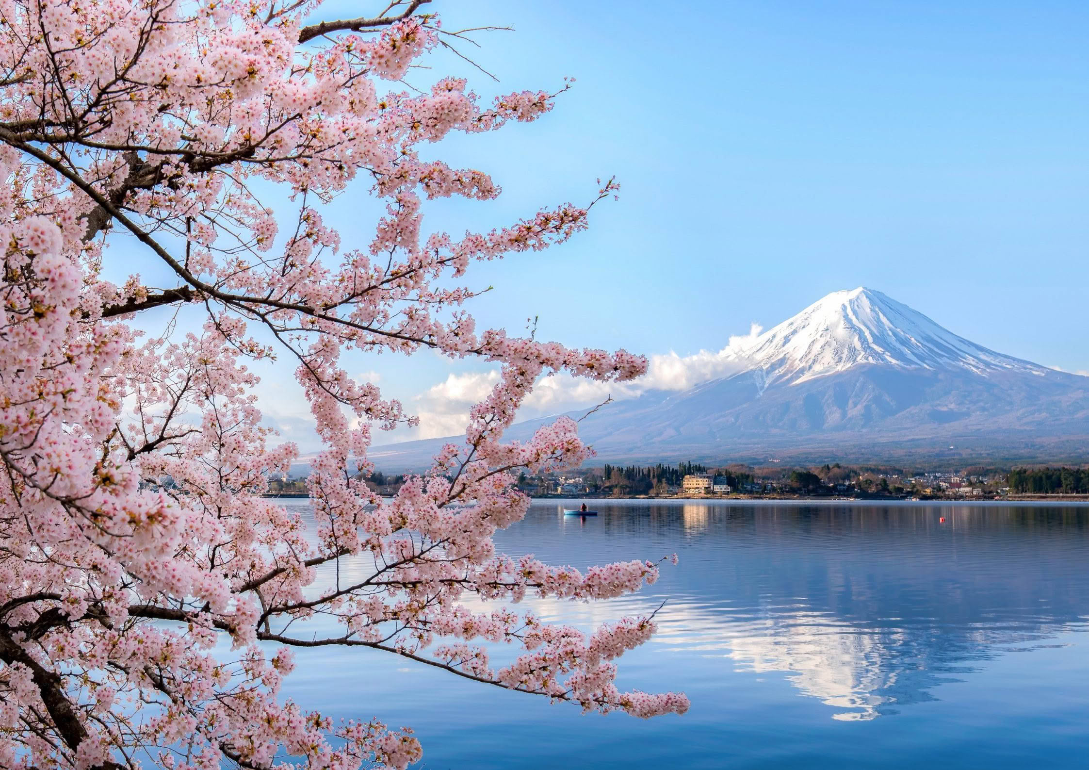 Japan & South Korea